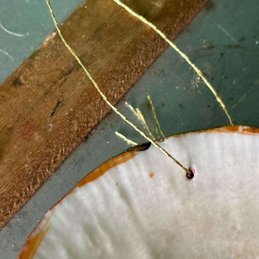 “Ladybug” seashell 🐞 - Picture 5 of 7